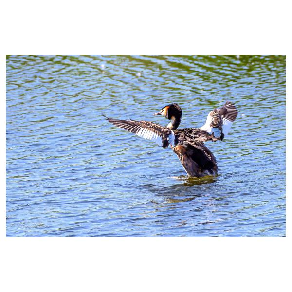 PHOTO84, CLUB, 84 , LUBERON